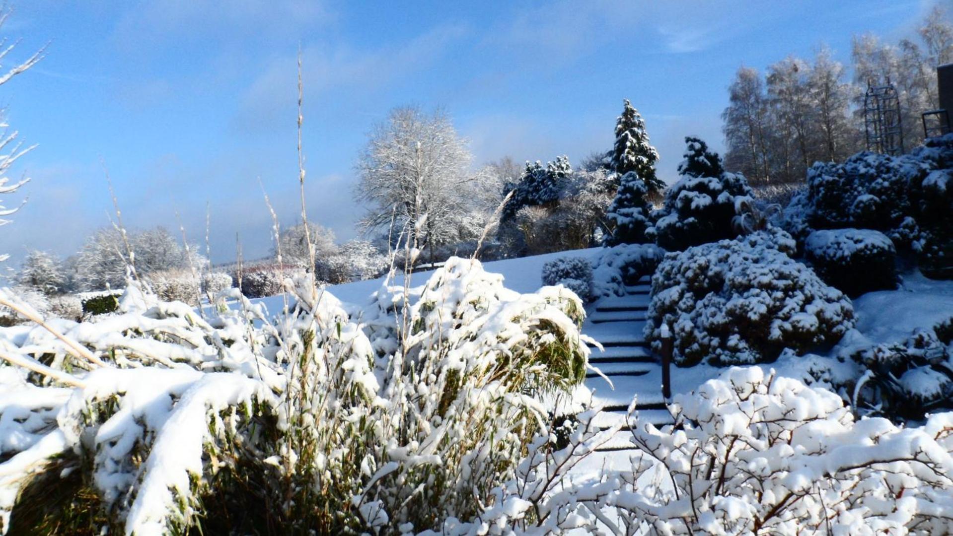 Le Renard'Or Bed and Breakfast Trois-Ponts Buitenkant foto