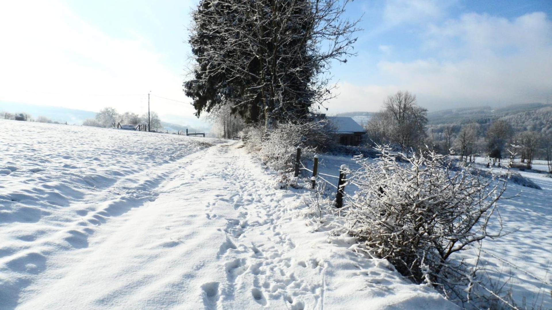 Le Renard'Or Bed and Breakfast Trois-Ponts Buitenkant foto