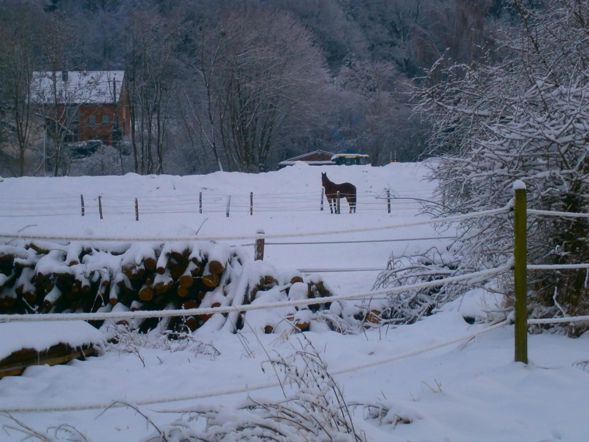 Le Renard'Or Bed and Breakfast Trois-Ponts Buitenkant foto