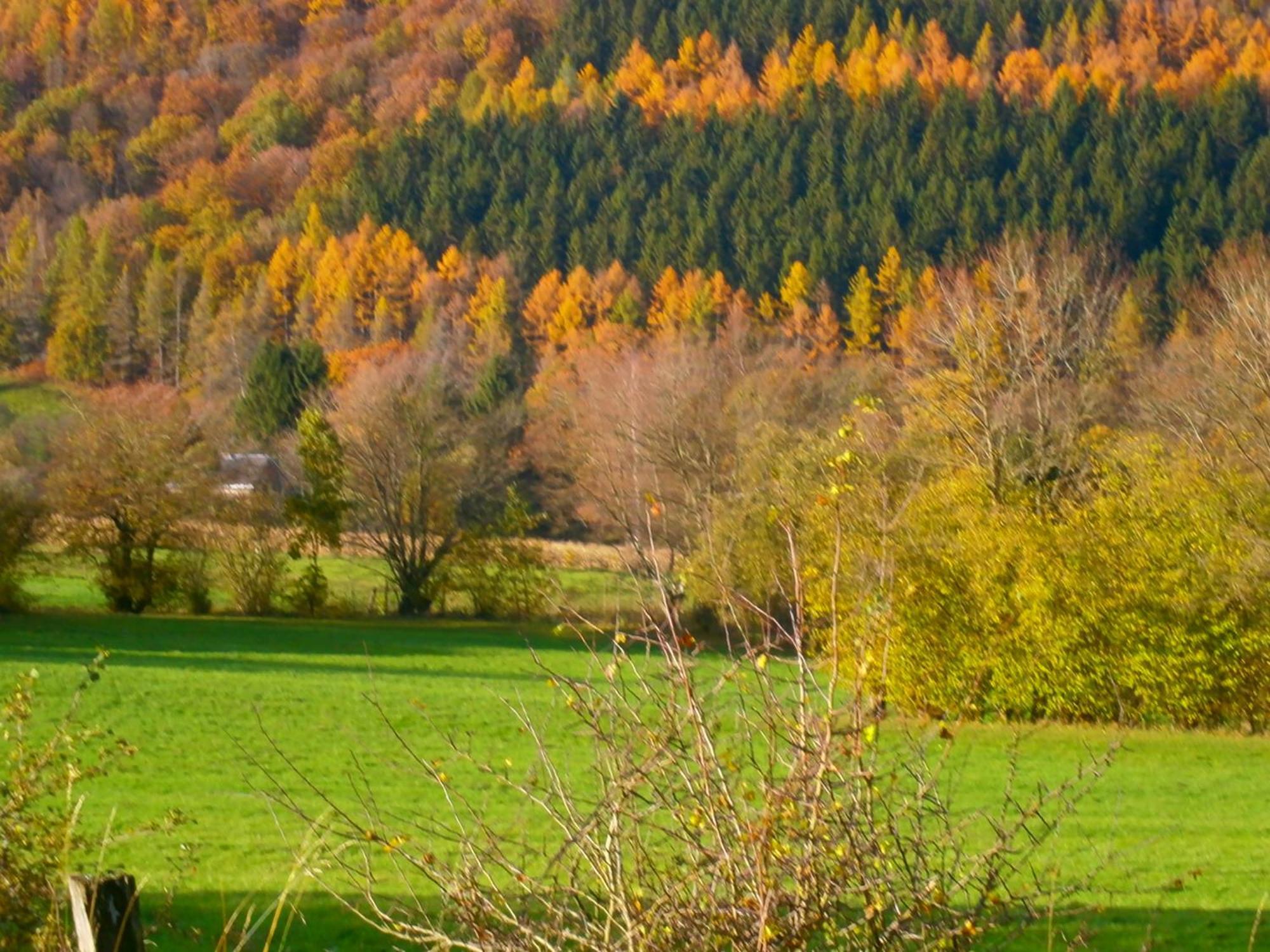 Le Renard'Or Bed and Breakfast Trois-Ponts Buitenkant foto