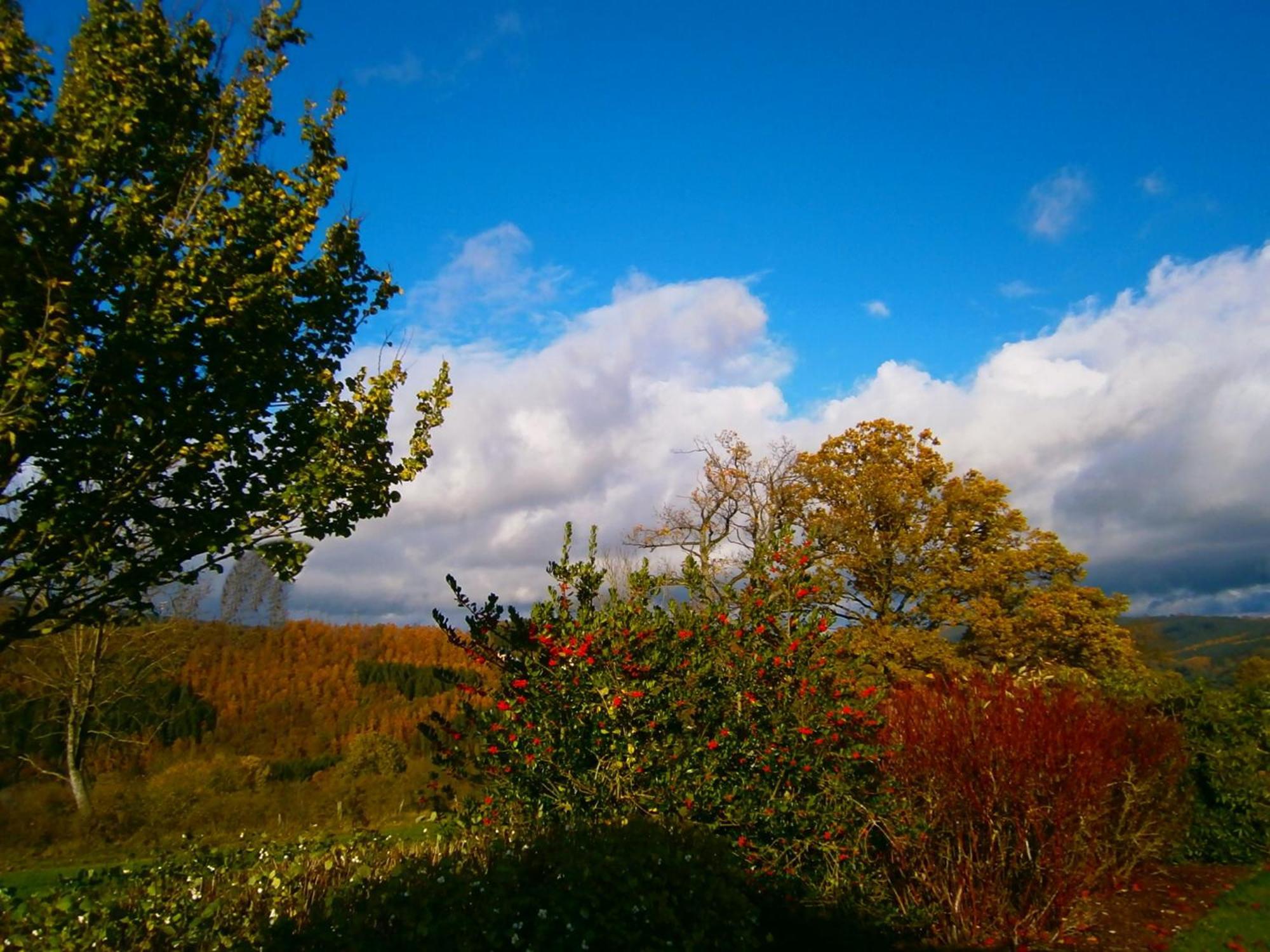 Le Renard'Or Bed and Breakfast Trois-Ponts Buitenkant foto