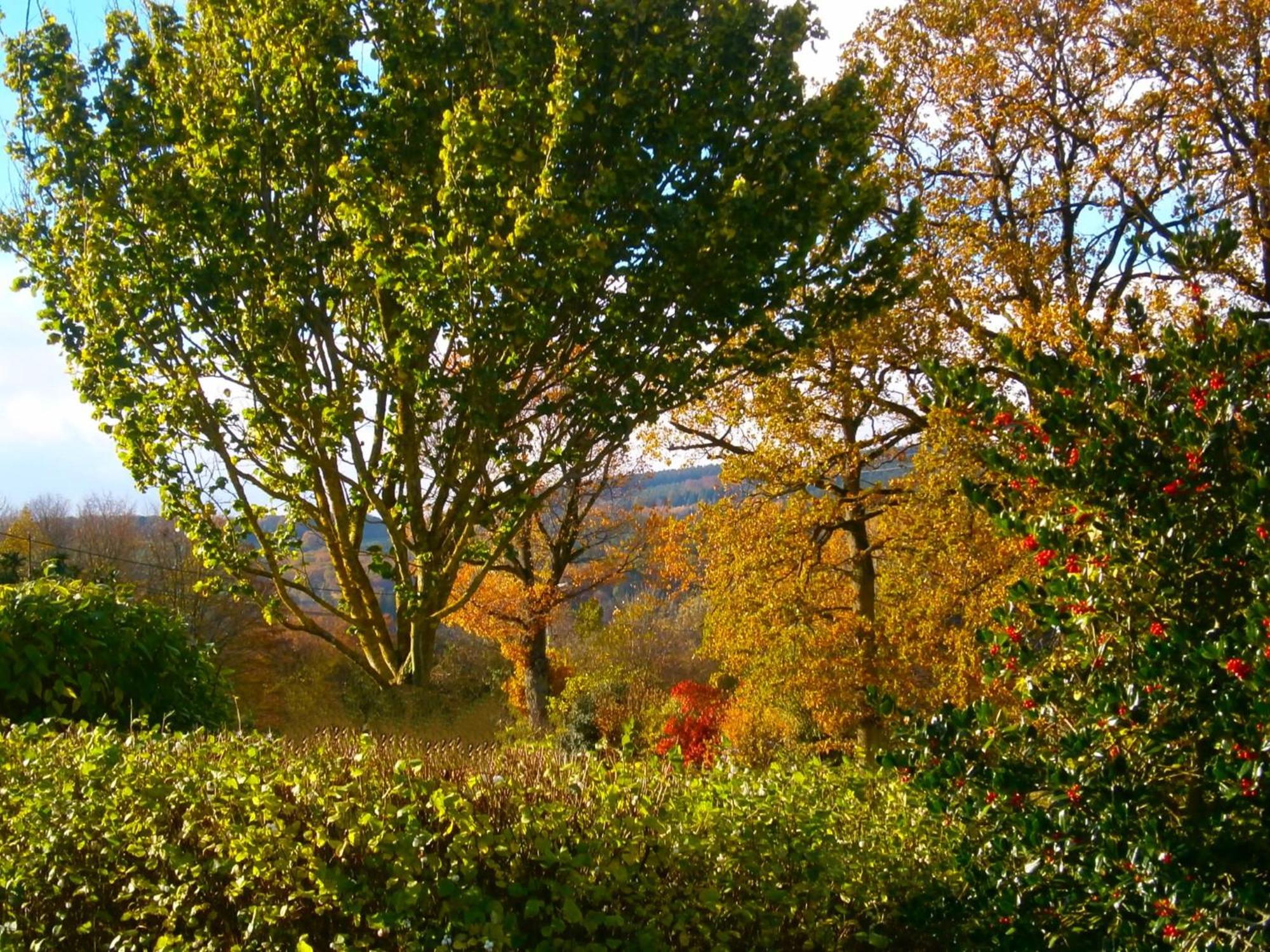 Le Renard'Or Bed and Breakfast Trois-Ponts Buitenkant foto