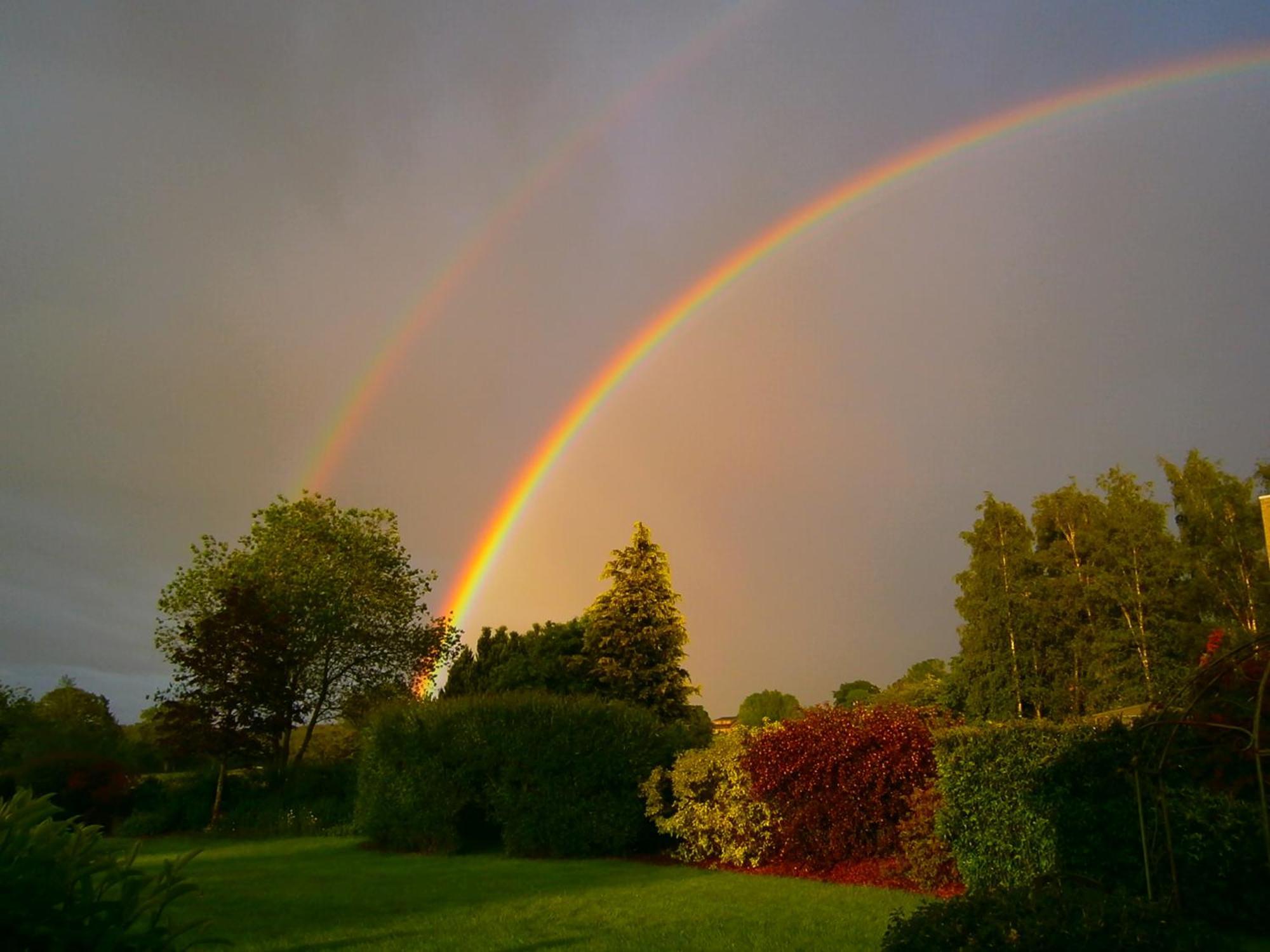 Le Renard'Or Bed and Breakfast Trois-Ponts Buitenkant foto