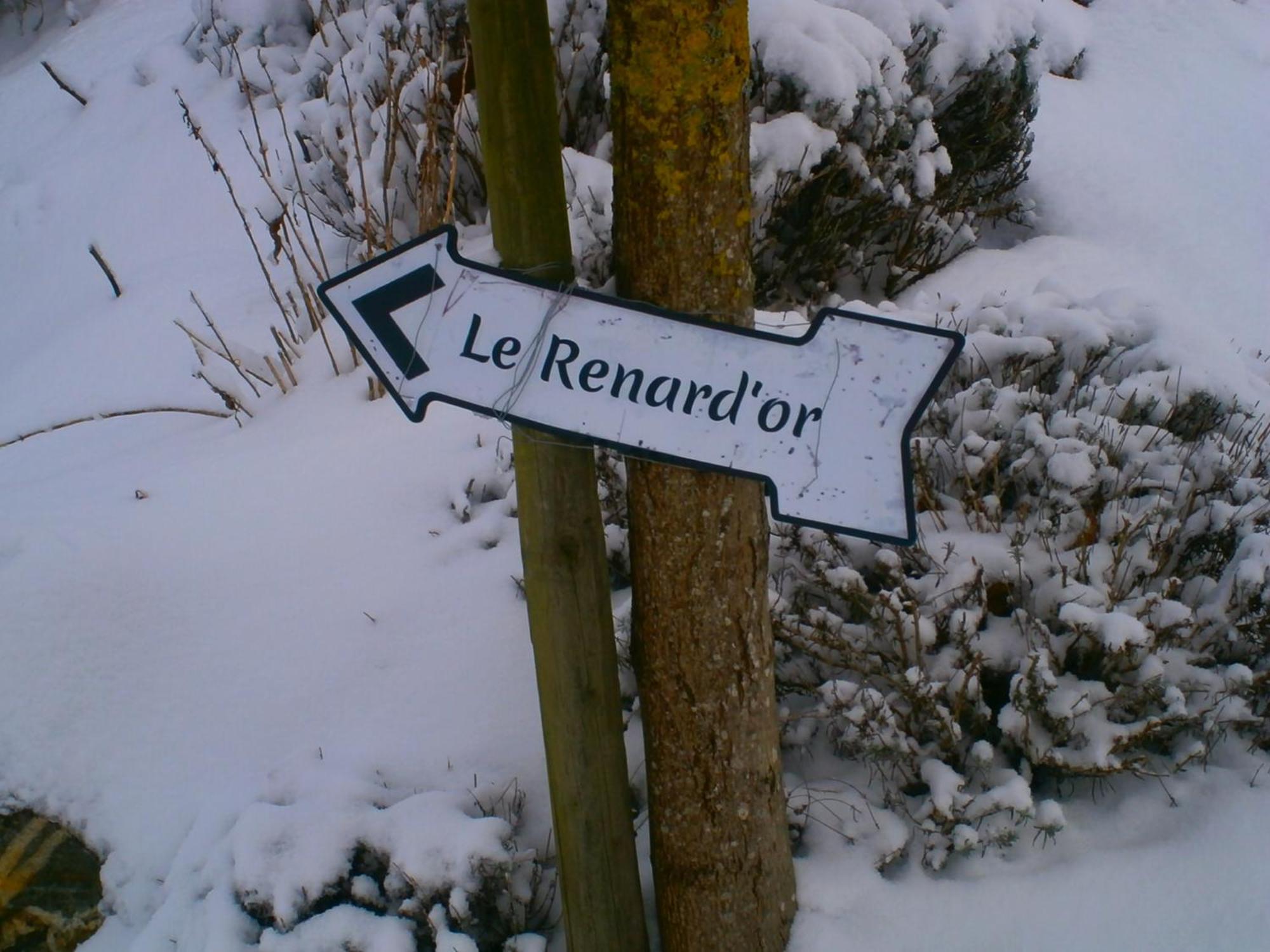 Le Renard'Or Bed and Breakfast Trois-Ponts Buitenkant foto