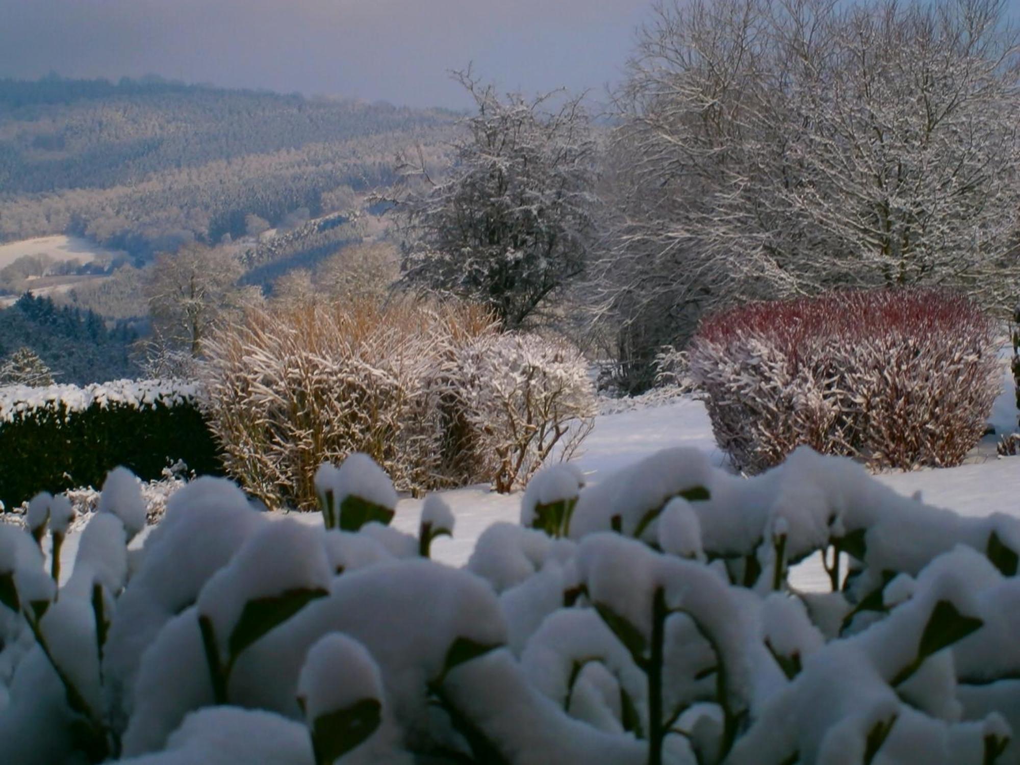 Le Renard'Or Bed and Breakfast Trois-Ponts Buitenkant foto